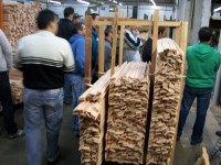 /album/galeria-de-fotos-pagina-inicial/a006-jpg/